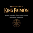 King Paimon guide